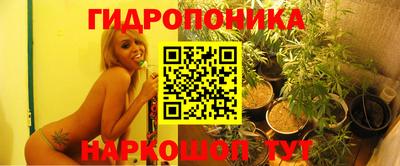 стаф Пушкино