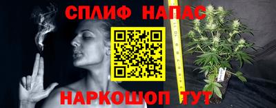 стаф Пушкино