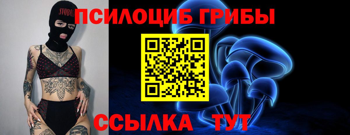 Среднеуральск  Псилоцибиновые грибы Magic Shrooms  Псилоцибиновые грибы MAGIC MUSHROOMS  Вход с VPN 